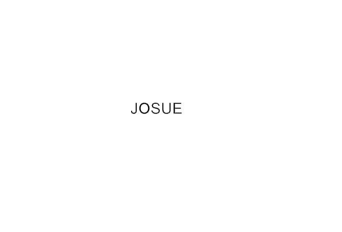 Proyecto Josué